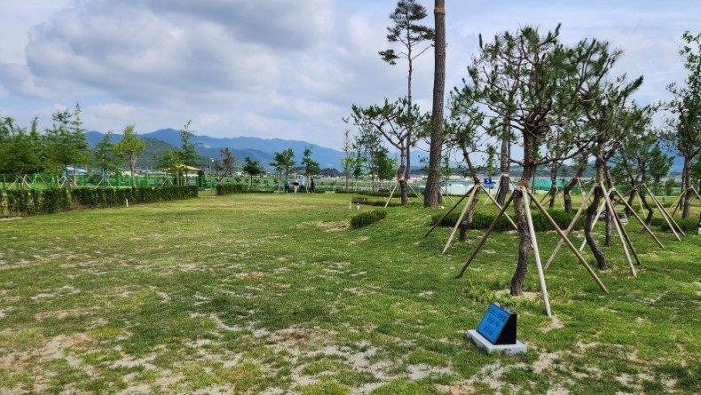 그린파크골프장 현장 사진