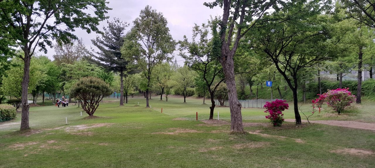 둔산파크골프장 현장 사진