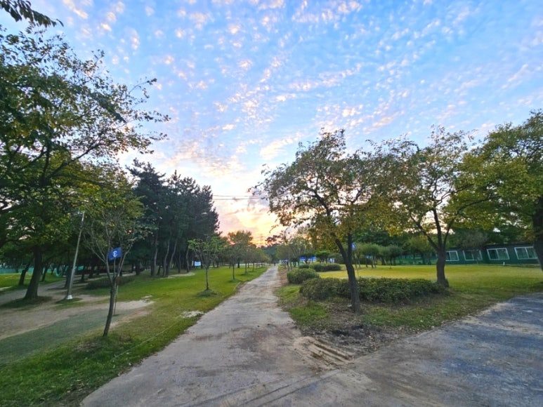 상록수공원 파크골프장 현장 사진